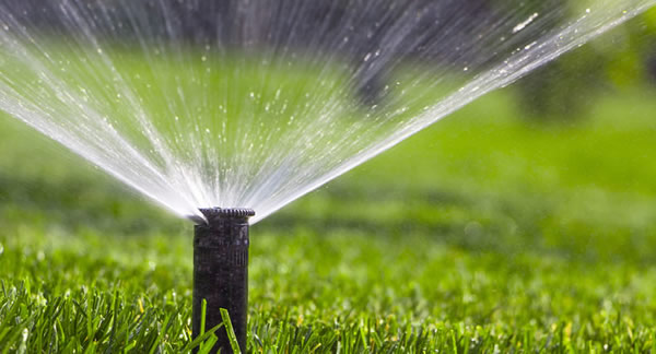 Irrigation System